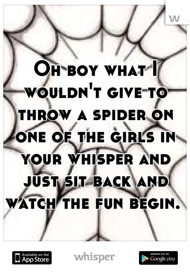 Oh boy what I wouldn't give to throw a spider on one of the girls in your whisper and just sit back and watch the fun begin. 