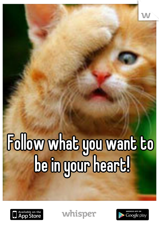 Follow what you want to be in your heart!