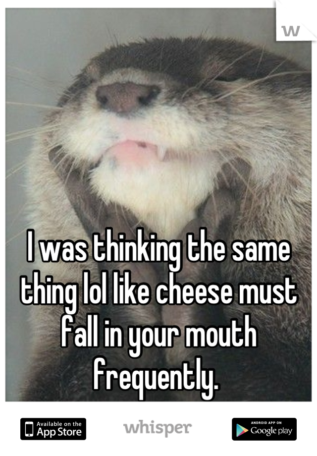 I was thinking the same thing lol like cheese must fall in your mouth frequently. 