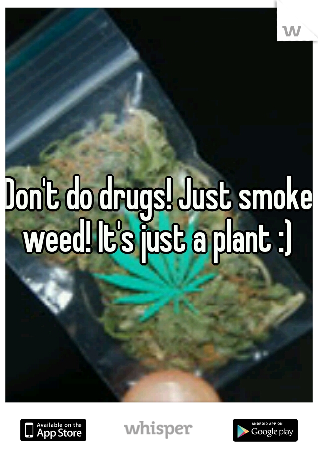 Don't do drugs! Just smoke weed! It's just a plant :) 