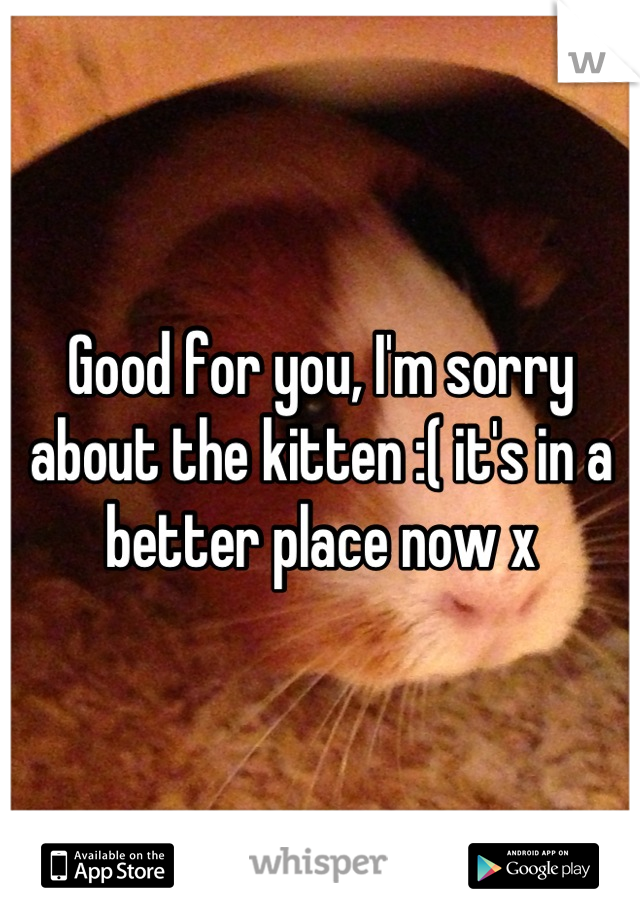 Good for you, I'm sorry about the kitten :( it's in a better place now x