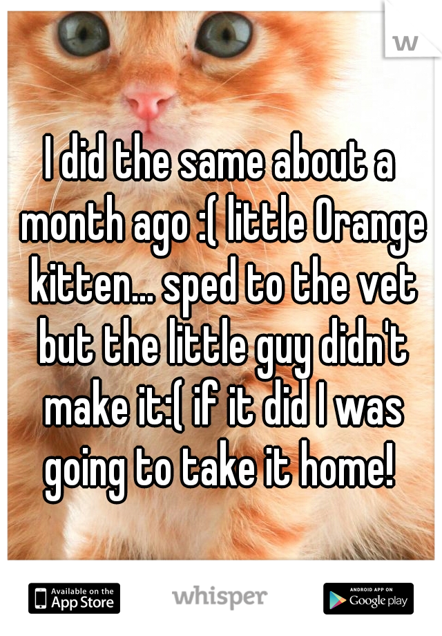 I did the same about a month ago :( little Orange kitten... sped to the vet but the little guy didn't make it:( if it did I was going to take it home! 