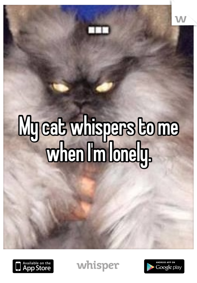 My cat whispers to me when I'm lonely.