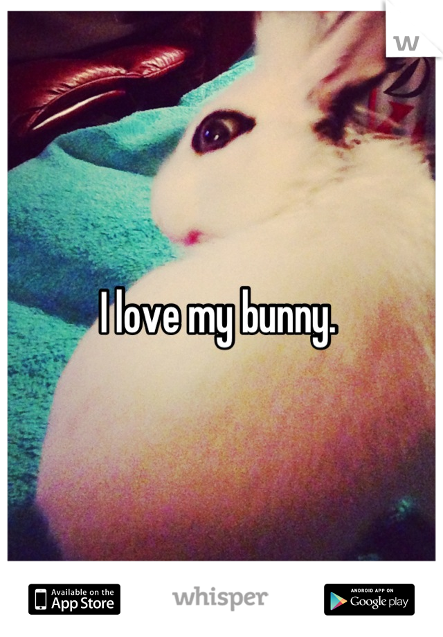 I love my bunny. 