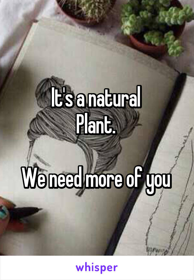 It's a natural 
Plant. 

We need more of you 