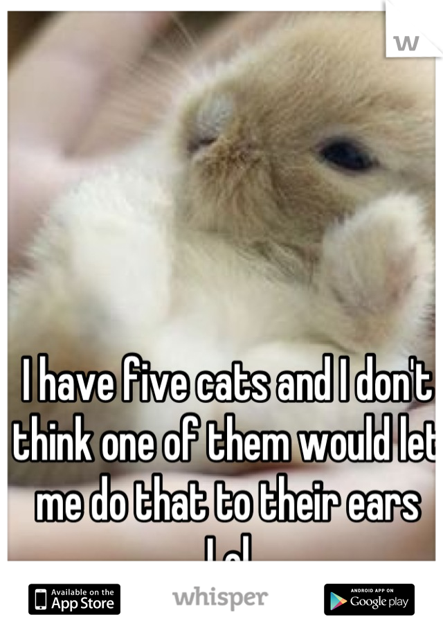 I have five cats and I don't think one of them would let me do that to their ears
Lol