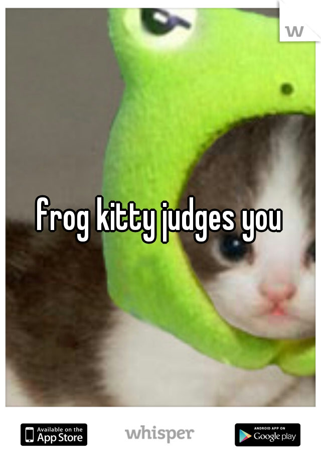 frog kitty judges you