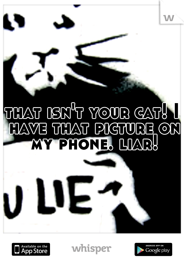 that isn't your cat! I have that picture on my phone. liar!