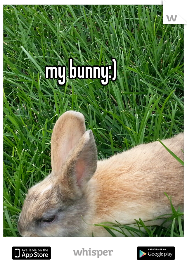 my bunny:)