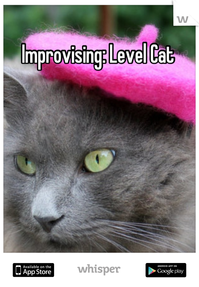 Improvising: Level Cat