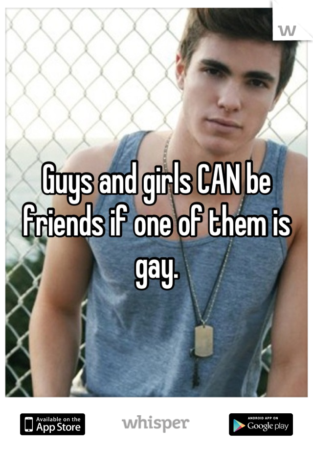 Guys and girls CAN be friends if one of them is gay.