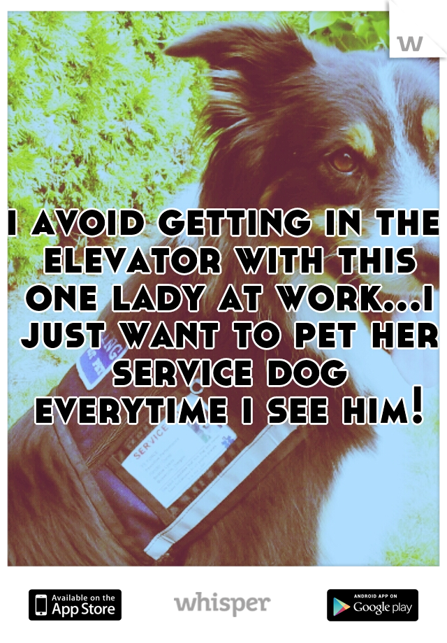 i avoid getting in the elevator with this one lady at work...i just want to pet her service dog everytime i see him!