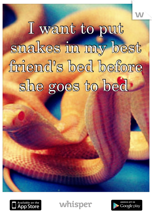 I want to put snakes in my best friend's bed before she goes to bed 