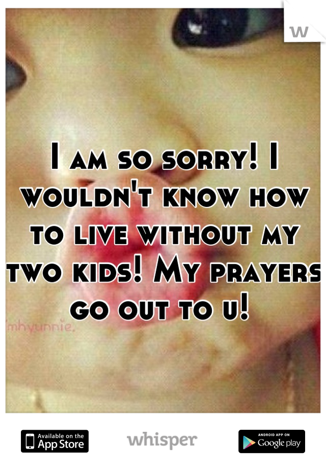 I am so sorry! I wouldn't know how to live without my two kids! My prayers go out to u! 