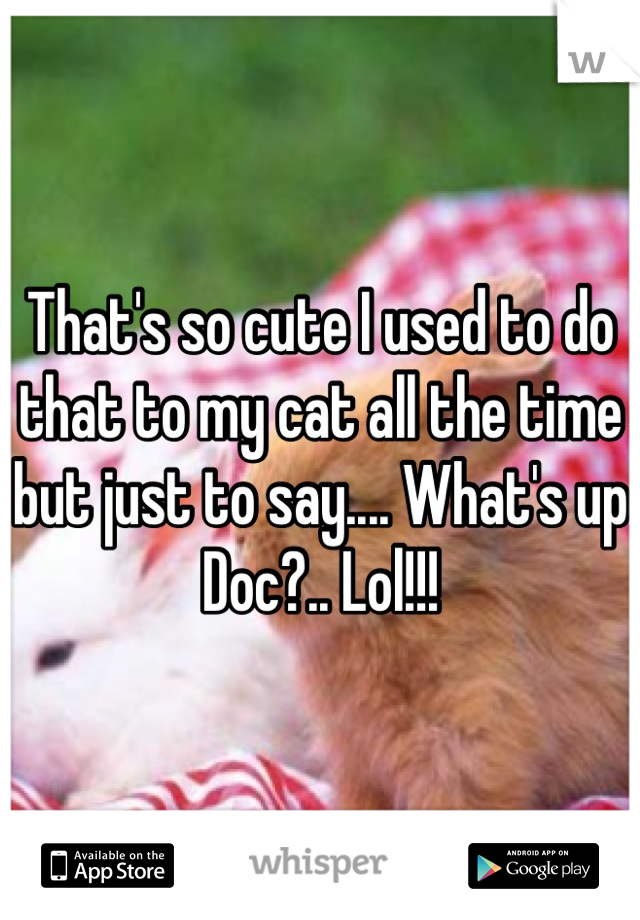 That's so cute I used to do that to my cat all the time but just to say.... What's up Doc?.. Lol!!!