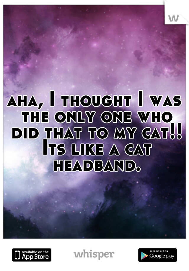 aha, I thought I was the only one who did that to my cat!! Its like a cat headband.