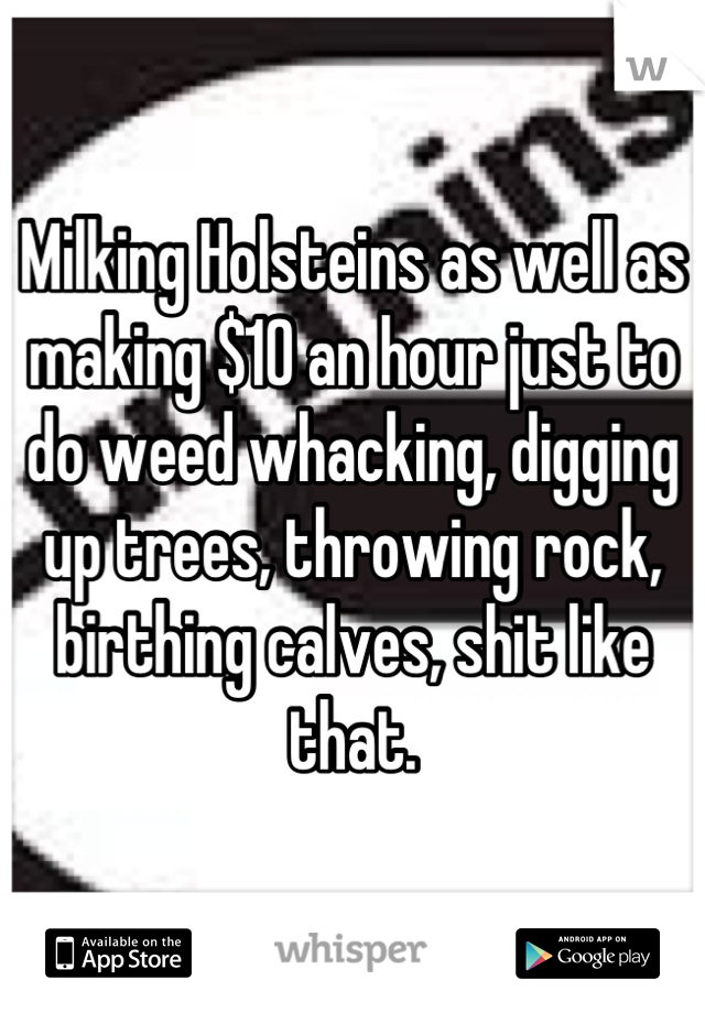 Milking Holsteins as well as making $10 an hour just to do weed whacking, digging up trees, throwing rock, birthing calves, shit like that.