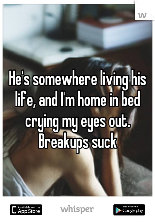 He's somewhere living his life, and I'm home in bed crying my eyes out. Breakups suck
