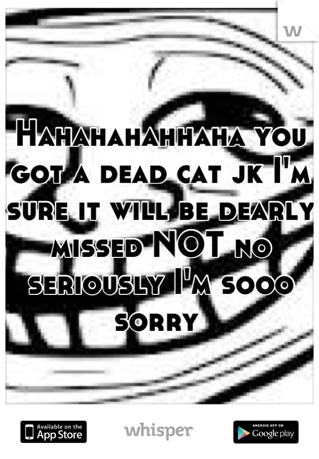 Hahahahahhaha you got a dead cat jk I'm sure it will be dearly missed NOT no seriously I'm sooo sorry 