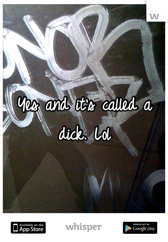 Yes and it's called a dick. Lol