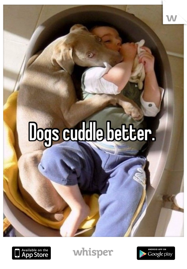 Dogs cuddle better. 
