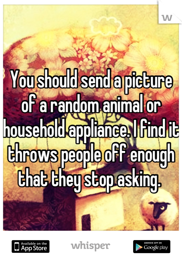 You should send a picture of a random animal or household appliance. I find it throws people off enough that they stop asking. 