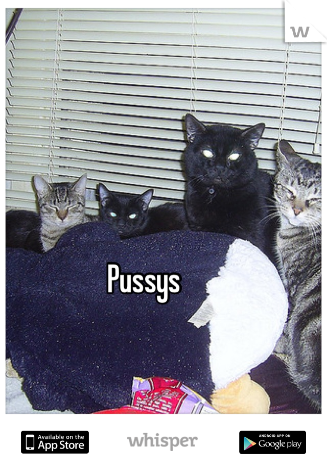 Pussys