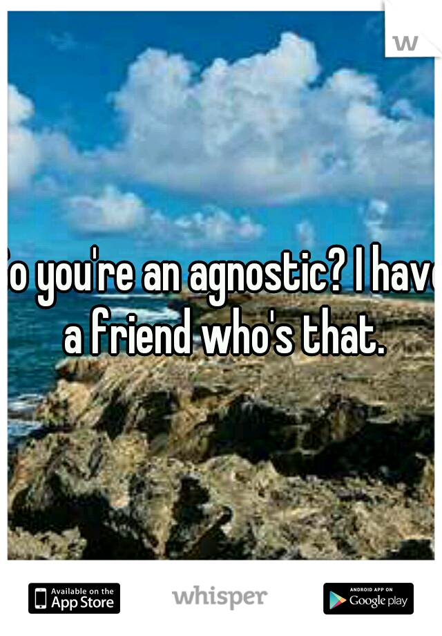 So you're an agnostic? I have a friend who's that.