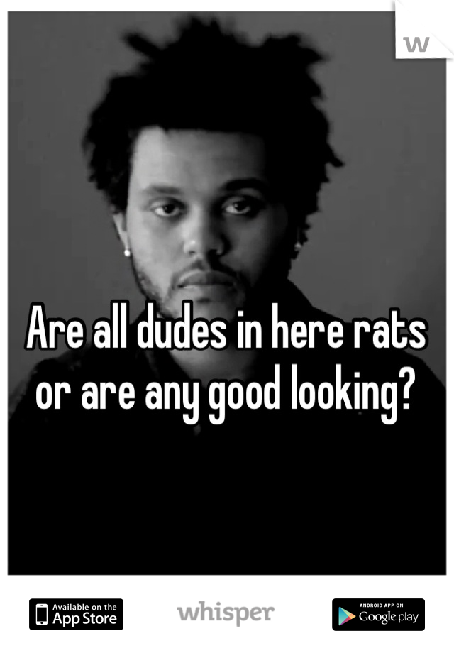 Are all dudes in here rats or are any good looking?