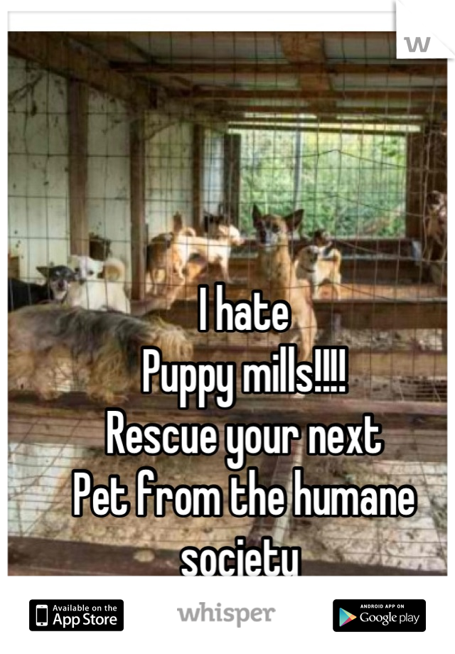 I hate 
Puppy mills!!!!
Rescue your next
Pet from the humane society 