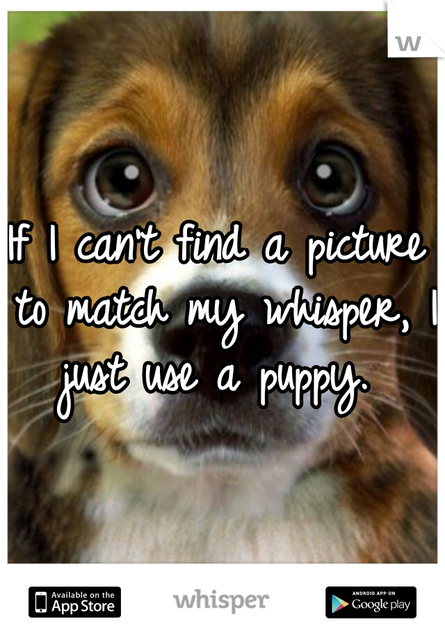 If I can't find a picture to match my whisper, I just use a puppy. 