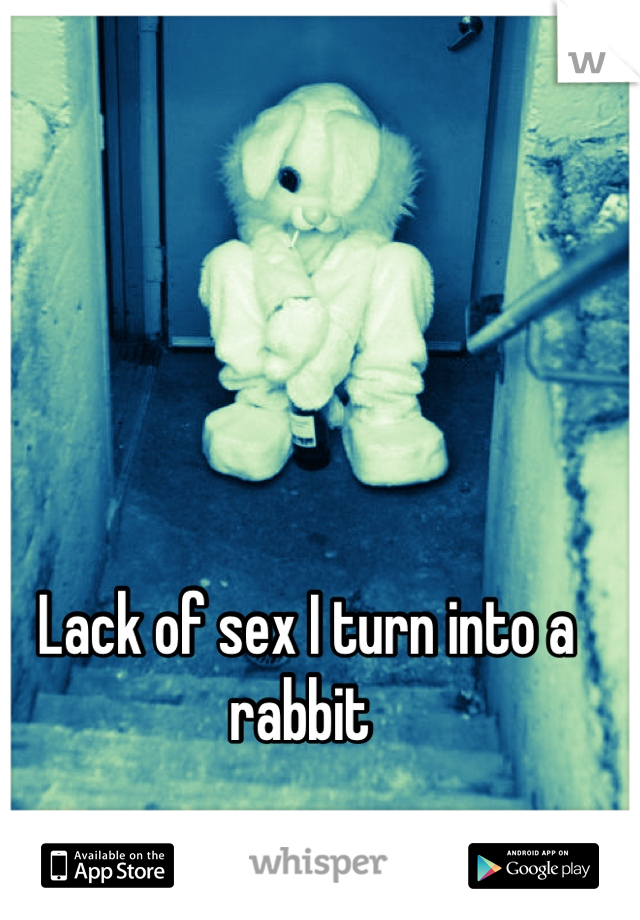 Lack of sex I turn into a rabbit 