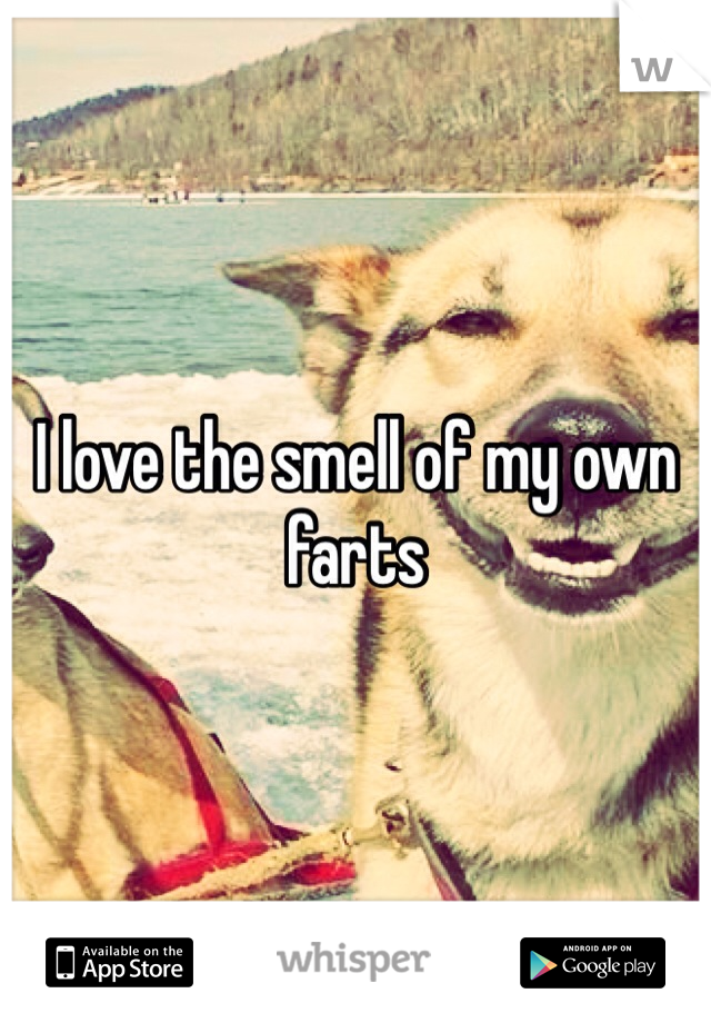 I love the smell of my own farts