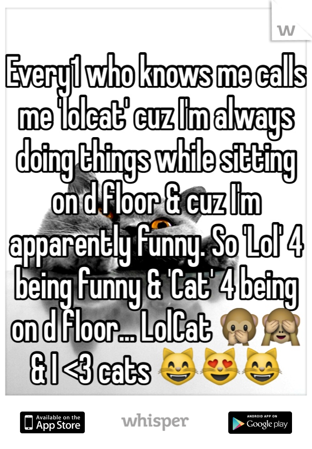 Every1 who knows me calls me 'lolcat' cuz I'm always doing things while sitting on d floor & cuz I'm apparently funny. So 'Lol' 4 being funny & 'Cat' 4 being on d floor... LolCat 🙊🙈
& I <3 cats 😸😻😸