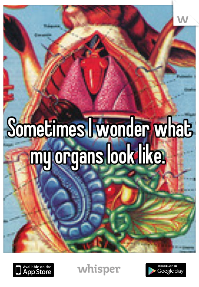 Sometimes I wonder what my organs look like. 