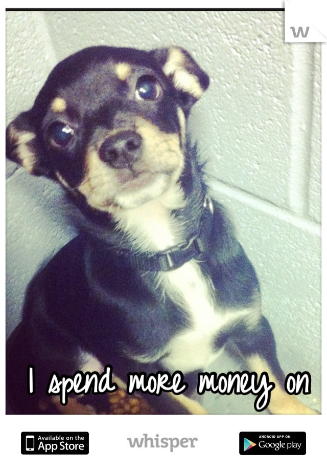 I spend more money on my dog than on myself. 