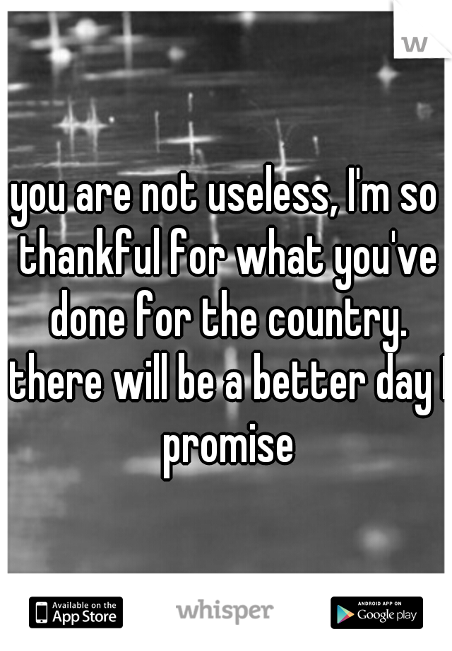 you are not useless, I'm so thankful for what you've done for the country. there will be a better day I promise