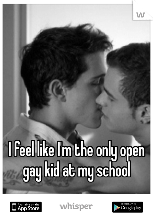 I feel like I'm the only open gay kid at my school