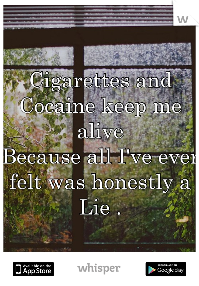 Cigarettes and Cocaine keep me alive 
Because all I've ever felt was honestly a Lie . 