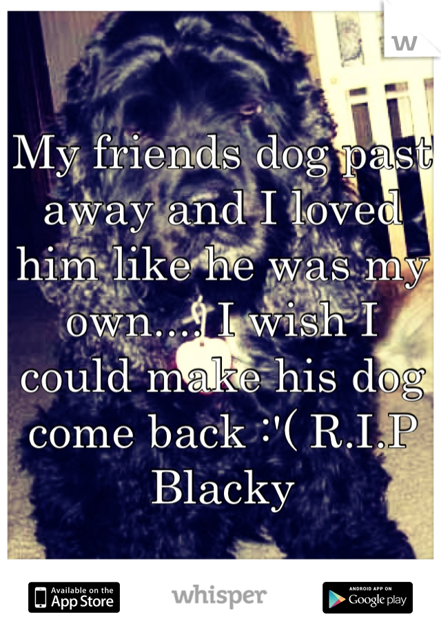 My friends dog past away and I loved him like he was my own.... I wish I could make his dog come back :'( R.I.P Blacky