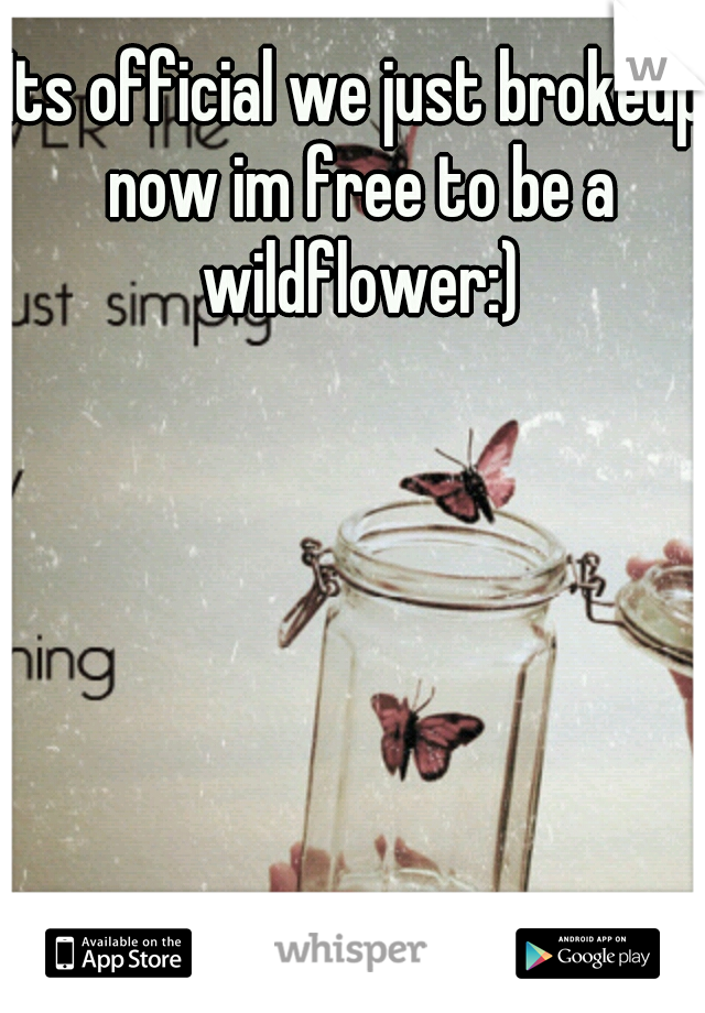 Its official we just brokeup now im free to be a wildflower:)