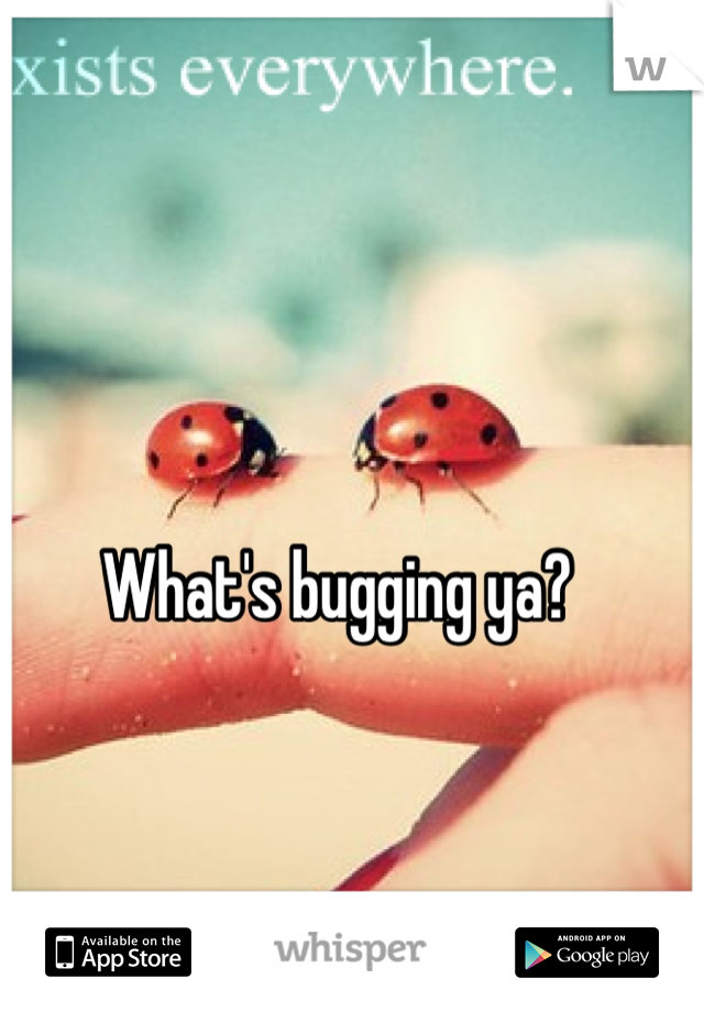 What's bugging ya? 