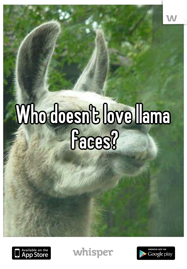 Who doesn't love llama faces?