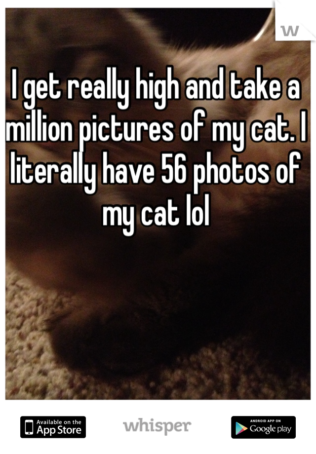 I get really high and take a million pictures of my cat. I literally have 56 photos of my cat lol 