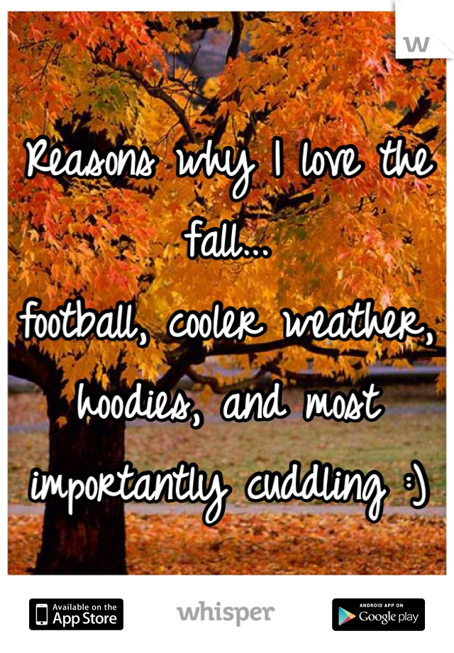 Reasons why I love the fall...
football, cooler weather, hoodies, and most importantly cuddling :) 