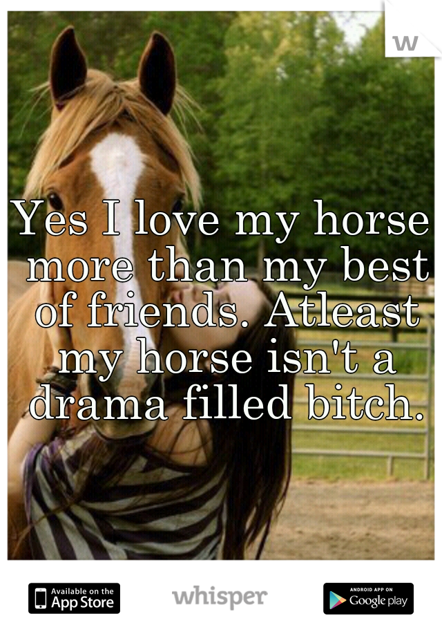 Yes I love my horse more than my best of friends. Atleast my horse isn't a drama filled bitch.