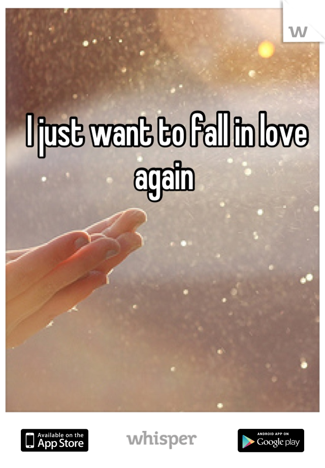 I just want to fall in love again 