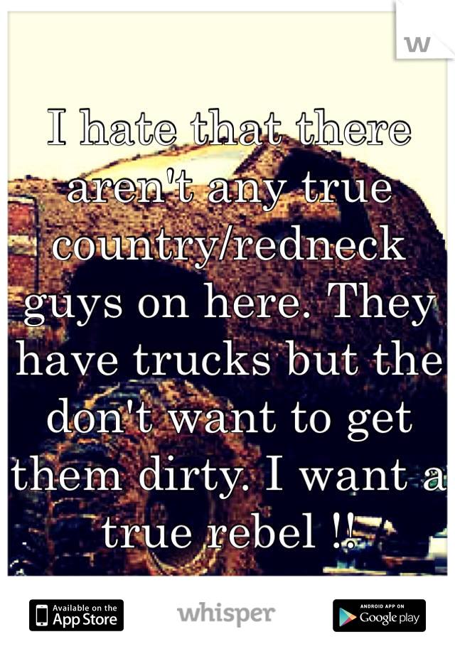 I hate that there aren't any true country/redneck guys on here. They have trucks but the don't want to get them dirty. I want a true rebel !! 