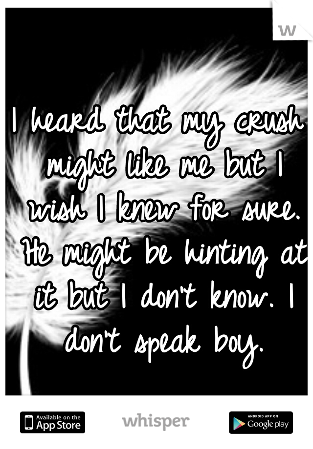 I heard that my crush might like me but I wish I knew for sure. He might be hinting at it but I don't know. I don't speak boy.