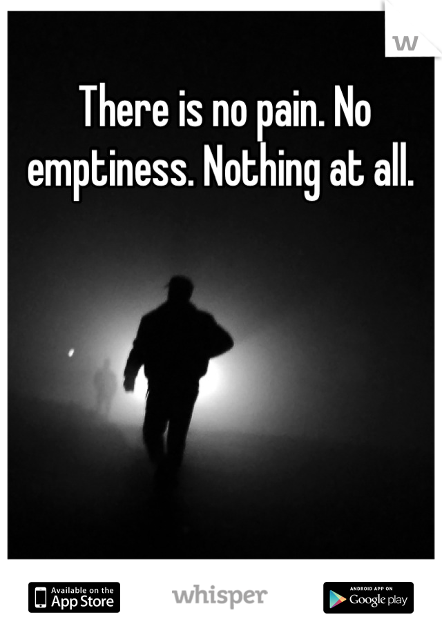 There is no pain. No emptiness. Nothing at all. 